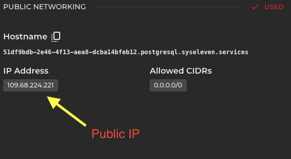 Database Public IP