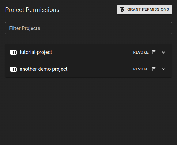 Project Permissions