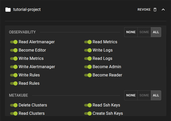 Grant Project Permissions