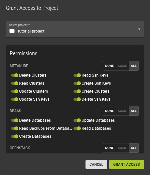 Grant Project Permissions