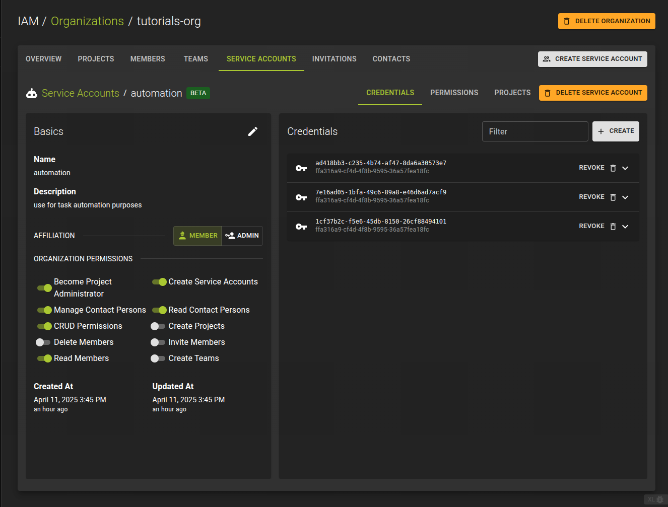 View Service Account Details