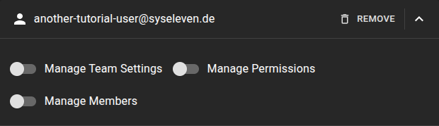 Manage Member Permissions
