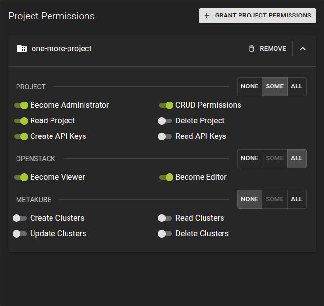 List Team Projects
