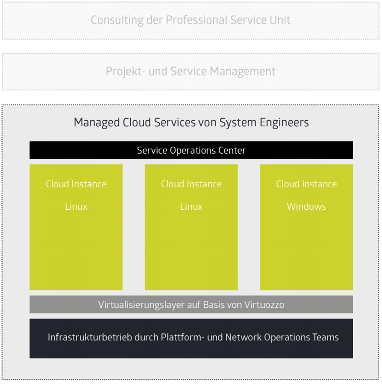 Managed Hosting(Managed Cloud Services)
