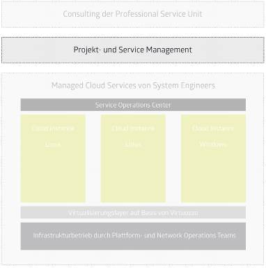 Managed Hosting (Projekt- and Service Management)