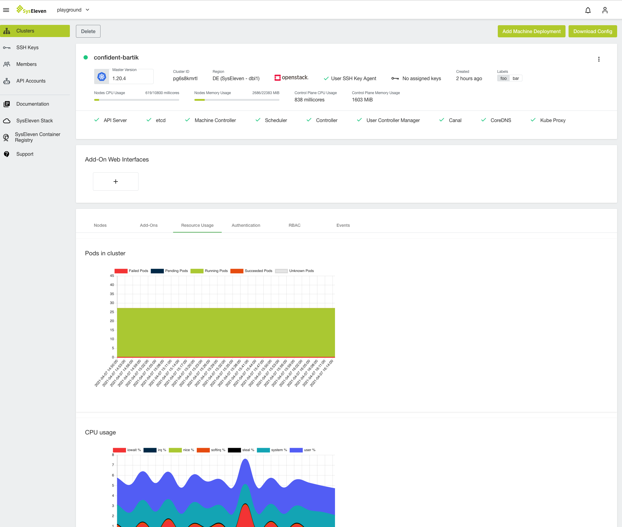 MetaKube Cluster Detail Page