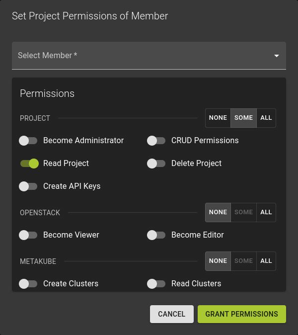 Grant Project Permissions